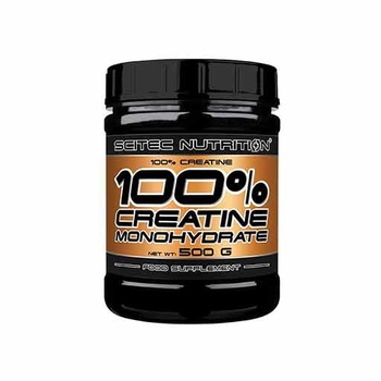 100% Creatine Monohydrate (500 gr)