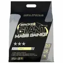Stacker2 Giant Mass Gainer (Vanilla - 6800gr) - EXP 31/12/2026