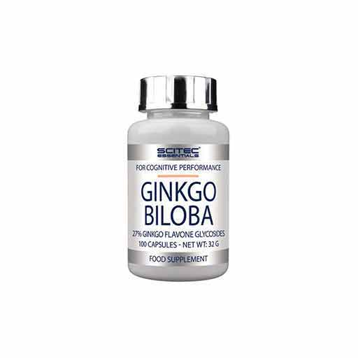 Ginkgo Biloba - 100 Tabs